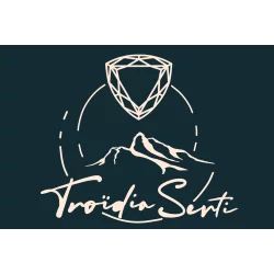 Logo de TROIDIA SERTI