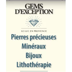 Logo de Gems d'exception